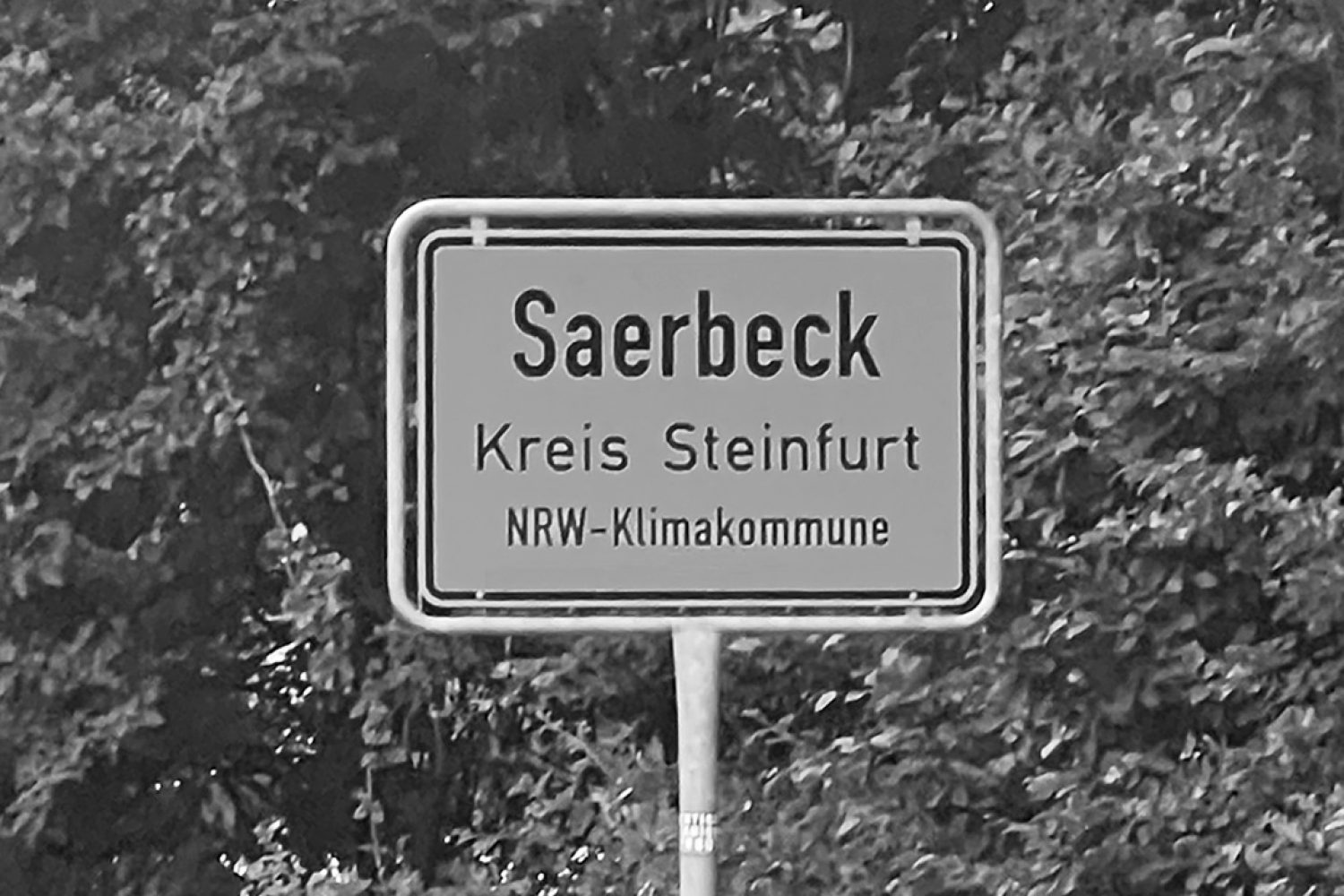 SAERBECK_SCHILDER_1080